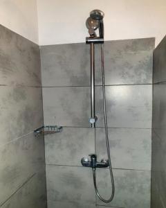 a shower with a shower head in a bathroom at Hotel Exsel Floralys in L'Étang-Salé les Bains