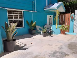 a blue building with potted plants in front of it at Westskye in Saint James