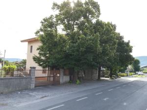 ein Baum an der Seite einer Straße neben einem Haus in der Unterkunft Coretti Rooms in Triest