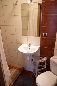 a bathroom with a sink and a toilet and a mirror at Dom Gościnny Cuma in Jastrzębia Góra