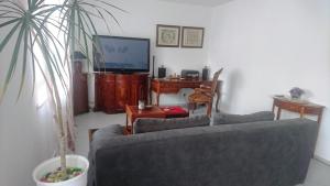 TV a/nebo společenská místnost v ubytování Ferienwohnung Am Stadtpark + 2 fotografie