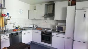 Kuchyň nebo kuchyňský kout v ubytování Ferienwohnung Am Stadtpark