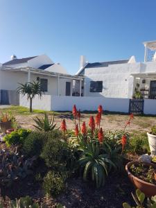 a garden in front of a house with red flowers at Hart-se-Punt in Paternoster