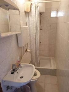 a bathroom with a sink and a toilet and a tub at Tonica Put rive 17 in Metajna