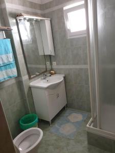 a bathroom with a sink and a toilet and a shower at Tonica Put rive 17 in Metajna