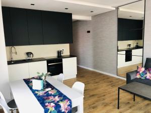 Kuchyňa alebo kuchynka v ubytovaní DOBRY MOMENT - apartament Giżycko