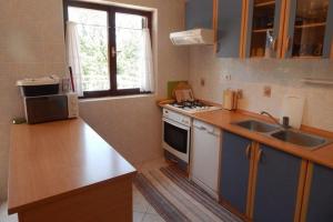 a kitchen with a sink and a stove top oven at Apartman Svjetličić in Brzac