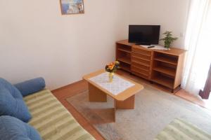 uma sala de estar com uma televisão e uma mesa de centro em Apartman Svjetličić em Brzac
