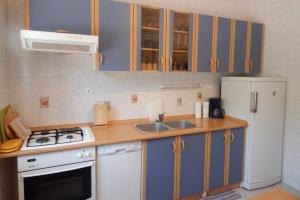 a small kitchen with a sink and a refrigerator at Apartman Svjetličić in Brzac +3 photos