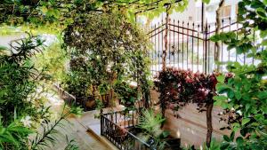 A garden outside Dracena Guesthouse