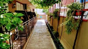 A garden outside Dracena Guesthouse