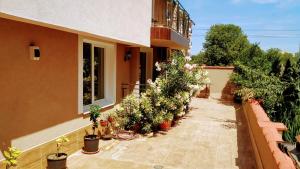 A garden outside Dracena Guesthouse