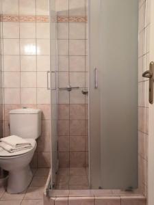 a bathroom with a toilet and a glass shower at Armonia by Grispos Villas in Schinoussa