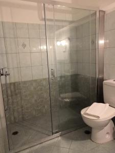y baño con ducha de cristal y aseo. en Armonia by Grispos Villas, en Schinoussa