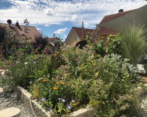 um jardim com flores e plantas coloridas em Ferienwohnung „Anhaide“ em Wörth am Rhein