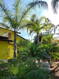 a yellow house with palm trees in front of it at Villa Romana in Ricadi