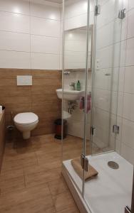uma casa de banho com um chuveiro, um WC e um lavatório. em Landgasthof Braun em Mindelstetten