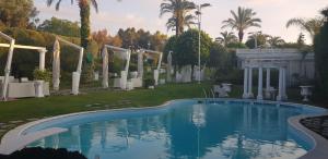 a swimming pool in a yard with palm trees at B&B Laura in Terzigno