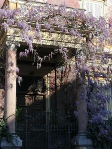 Een gebouw met paarse blauweregen erop. bij Villino Carmela SUITES in Rome