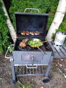 a grill with a pan of food on it at Pension Lukas in Karlovy Vary