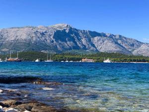 a large body of water with mountains in the background at Guest House Dijana in Korčula