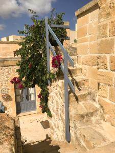 Foto dalla galleria di L'Gharix Temple Retreat a Xagħra