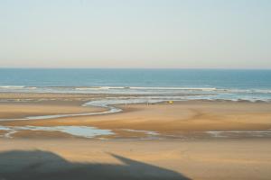 een strand met een groep dieren die op het zand lopen bij Les Chambres d'Hôtes de la Mer in Merlimont