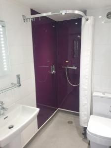 a bathroom with a shower and a toilet and a sink at St George Hotel Rochester-Chatham in Chatham