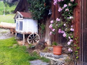 Garður fyrir utan Bed & Breakfast Dolomiti Bey Haus Pinter