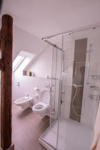 a bathroom with a shower and a toilet and a sink at Gästehaus Waldeslust in Espenau