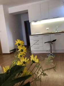 Gallery image of Aparthotel Elly in Pomorie
