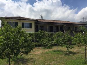 una casa con alberi di arancio di fronte di Alchimia House a Cisano sul Neva