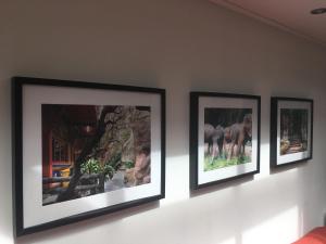Fotografie z fotogalerie ubytování B&B Porcini v destinaci Ermelo