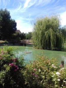 un estanque con un puente y árboles y flores en Ferme bressane les Arums en Mervans