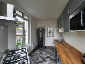 cocina con fogones, fregadero y ventana en Duplex des montains en Loches