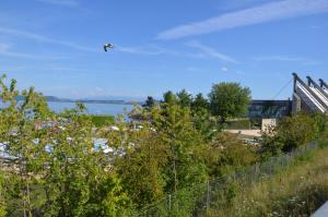 una cometa volando en el cielo sobre un cuerpo de agua en Appartements Vacances Saars 33 en Neuchâtel