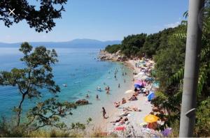 un gruppo di persone su una spiaggia in acqua di Apartment Roberta a Fiume (Rijeka)