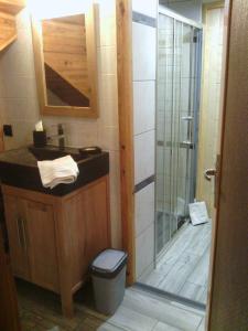 a bathroom with a shower and a sink and a toilet at Location Vanoise in Bramans