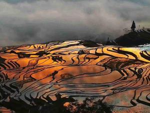 旅馆周边自然景观