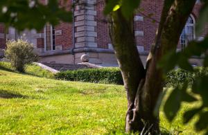un homme assis sur l'herbe devant un bâtiment dans l'établissement Chateau de Joyeux - Chambres d'Hotes, à Joyeux