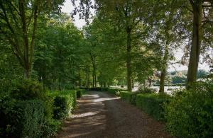 un chemin à travers un parc planté d'arbres et de buissons dans l'établissement Chateau de Joyeux - Chambres d'Hotes, à Joyeux