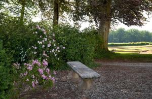 un banc assis à côté d'une brousse avec des fleurs roses dans l'établissement Chateau de Joyeux - Chambres d'Hotes, à Joyeux