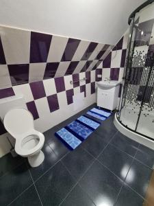 a bathroom with a toilet and a shower at Casa de vacanță ZiaZian - Bărcut in Bărcuţ