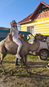a woman riding on the back of a camel at Casa de vacanță ZiaZian - Bărcut in Bărcuţ