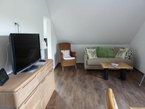 sala de estar con TV de pantalla plana y sofá en Schinderhanneshof en Weitersborn
