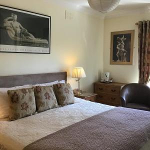 Cama o camas de una habitación en Ballyvaughan Lodge Guesthouse