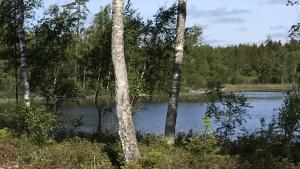 Příroda nedaleko prázdninového domu