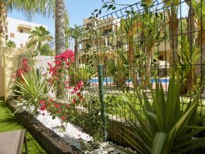Vonkajšia záhrada v ubytovaní Bahia Marinas - Tu hogar con jardín privado!