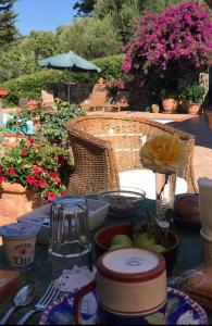 A garden outside Villa Ludoniccò