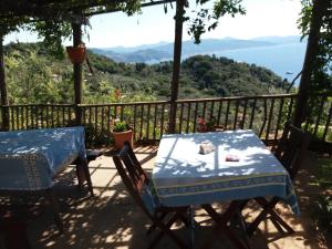 Paisatge natural a prop del bed and breakfast